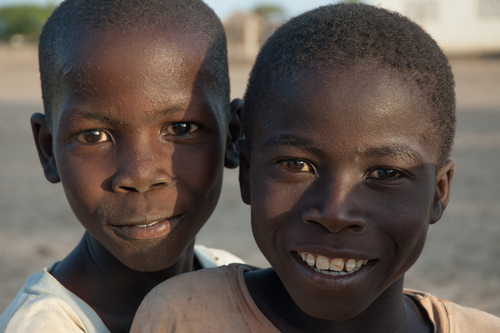 WHO: Spridningen av ebola verkar avta